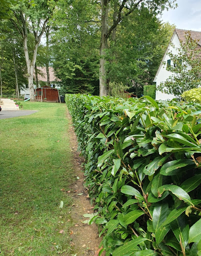 Maison et Services Essonne | Ménage, repassage, nettoyage des vitres