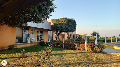 Restaurante Mata Verde Gallery - Mexico