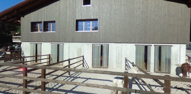 Pony-Hof Reinach BL - Reisebüro