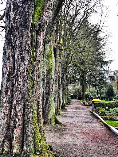 Friedhof Breyell - Thumbnail