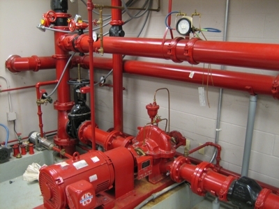 Gallery image 14
