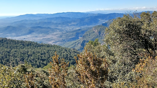 Colina del Tipasso