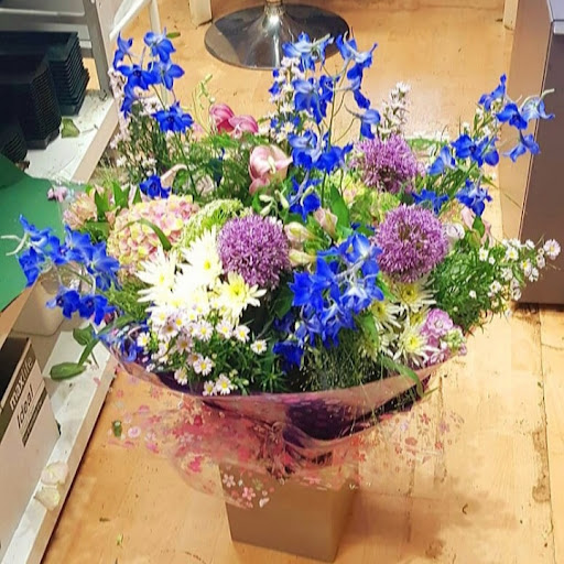 Flowers By Sue Whitfield - Thumbnail