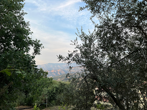 Sorrento - Sant'Agata (via Acquacarbone) - Thumbnail
