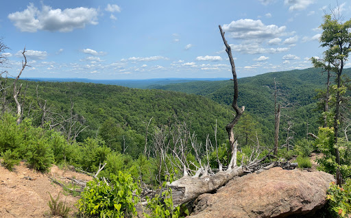 Upper Falls Backcountry Campground - Thumbnail