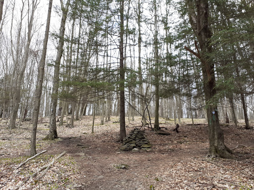 Meadowsweet Preserve - Thumbnail