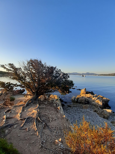 Spiaggia naturista Razza di Junco - Thumbnail