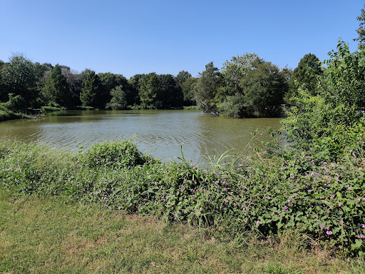 Clear Creek at David Brown Memorial Park