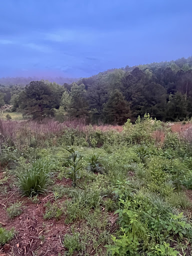 Berry Botanical & RV Campground Gallery - United States