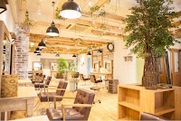 little 心斎橋 【リトルシンサイバシ】