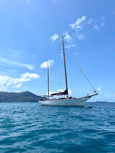 Lady Enid - Barefoot Luxury Day Sailing | Iconic Whitsunday Adventures