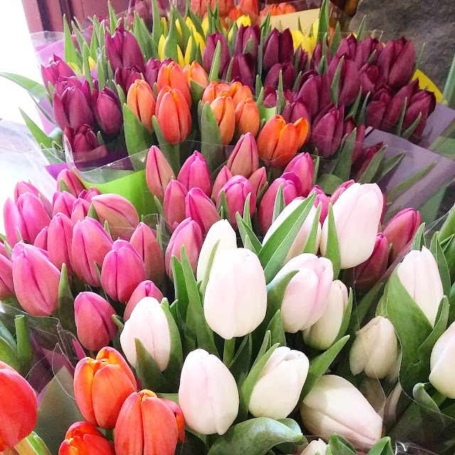 Dispensa Épicerie Italienne