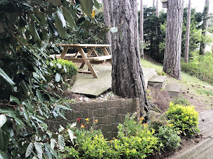 Photo n°7 de L'Estivale, Côté Pinède à Neufchâtel-Hardelot (Maison de vacances)