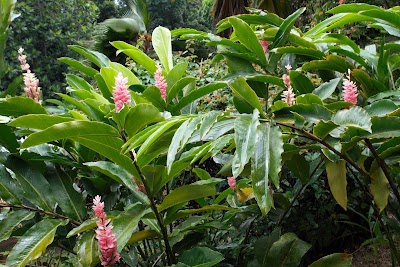 TiPAREO gite en Guadeloupe