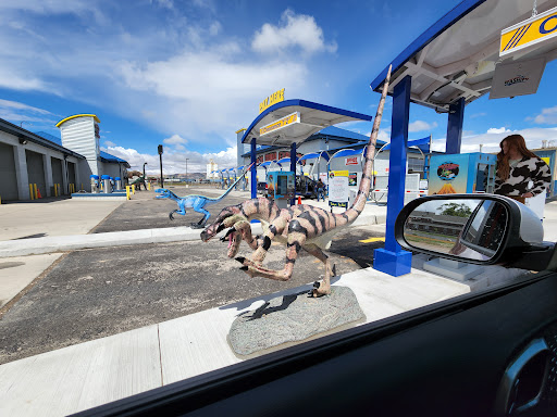 Papa's Dino Express Gallery - United States