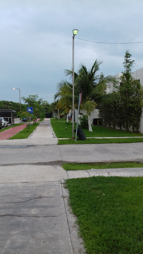 Parque Fracc. Buenavista Gallery - Mexico