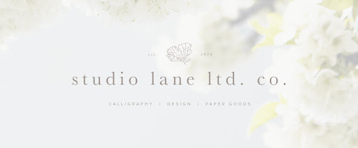 studio lane - Visual
