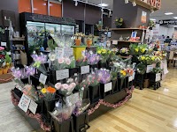 フローラコスモス福津