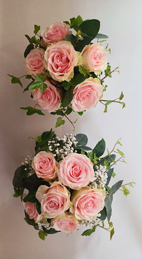 Borboni Fiori e Piante - Thumbnail