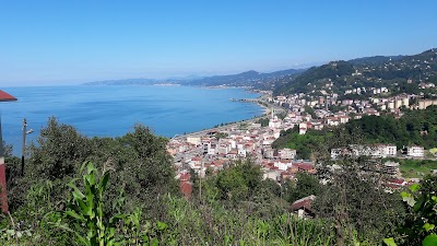 Photos of S&uuml;rmene Halı Yıkama