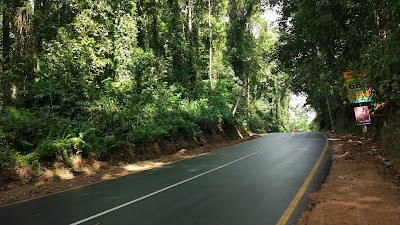 Photos of Hora Forest Reservation