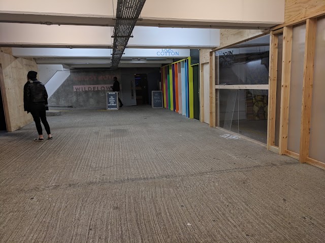Peckham Levels