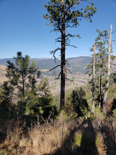 Crazy Canyon - Thumbnail