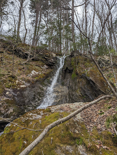 Granville Gulf Reservation State Forest - Thumbnail