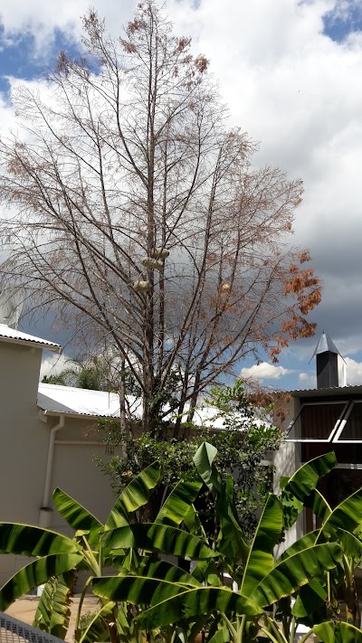Photos of Suiderhof Self-catering