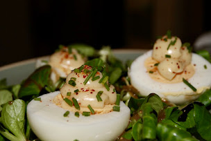 Photo n°29 de La Cabane à Nantes (Cuisine française moderne)