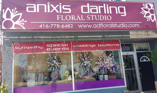 Anixis Darling Floral Studio