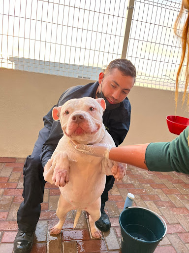 VETERINARIA & CREMACIONES A DOMICILIO/EMERGENCIAS