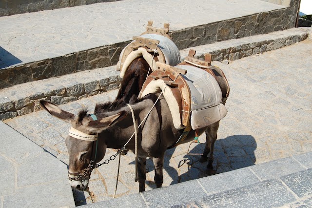 lindos akropolis