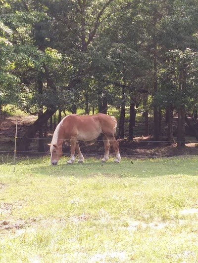 Bar-J Ranch