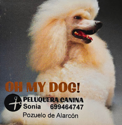 OH MY DOG!Pozuelo