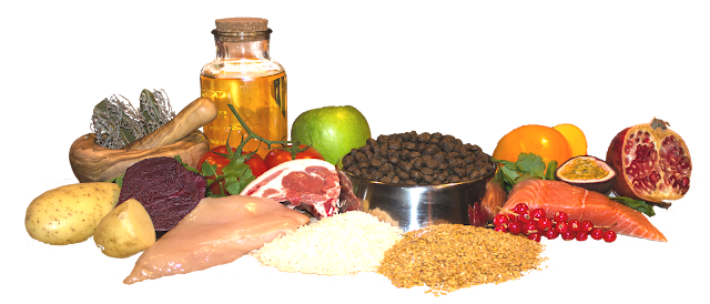 Animal Nutrition Services: chiens, chats, croquettes (Bretagne )