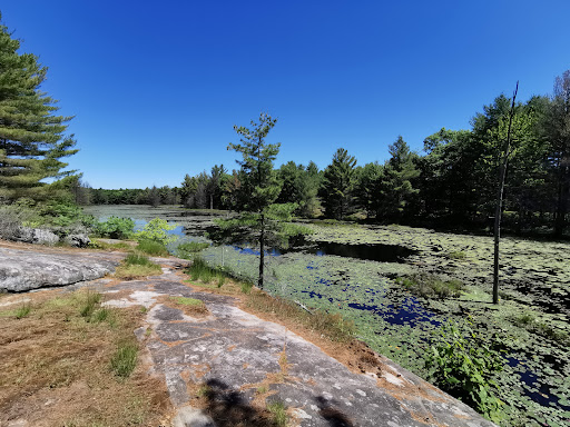Six Mile Lake Provincial Park