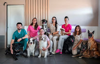 Clinique Vétérinaire de Mezzavia du Dr. MORY à Mezzavia