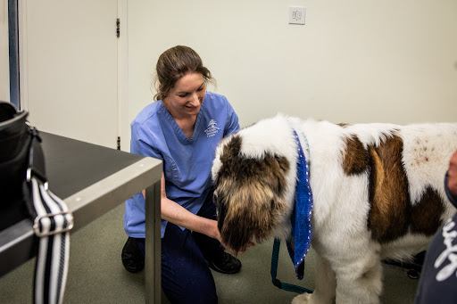 Oakhill Vets - Kirkham Branch - Thumbnail