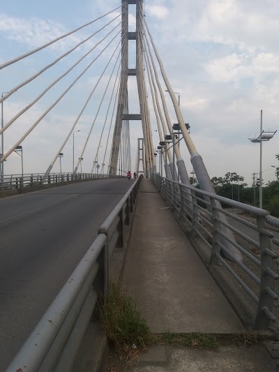 Photos of Puente Atirantado Sobre El R&iacute;o Aguarico