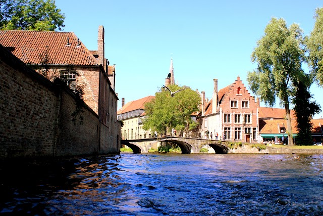 Groenerei