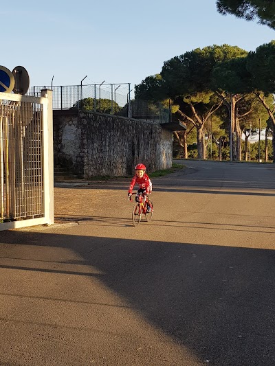 Stadio degli Oliveti