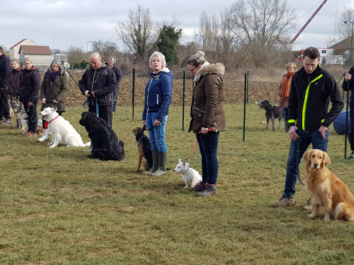 Club canin Team Dog - Thumbnail