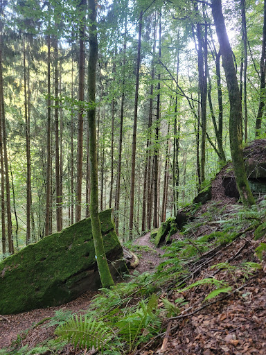 Wanderparkplatz Bärenhöhle - Thumbnail