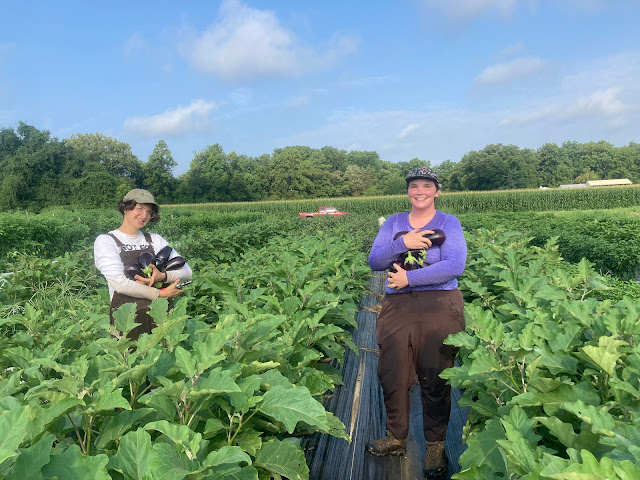 Owl's Nest Farm by null