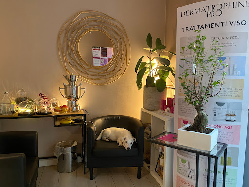 Istituto di Estetica Brasiliana By Josi