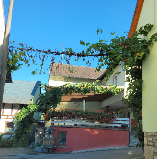 Weinstube Ott - Visual
