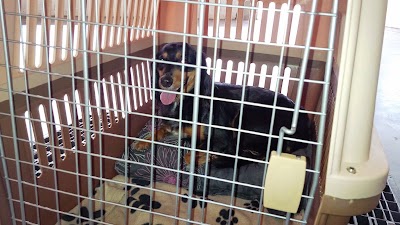 Photos of Pet Express - Sri Lanka