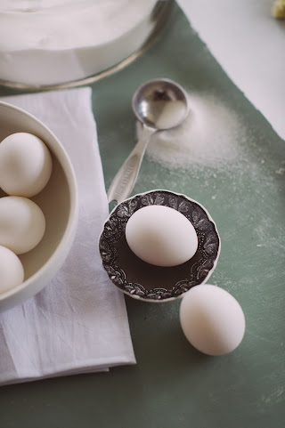 Knead and Know by null