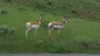 Yellowstone Heritage and Research Center